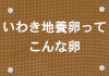 いわき地養卵ってこんな卵